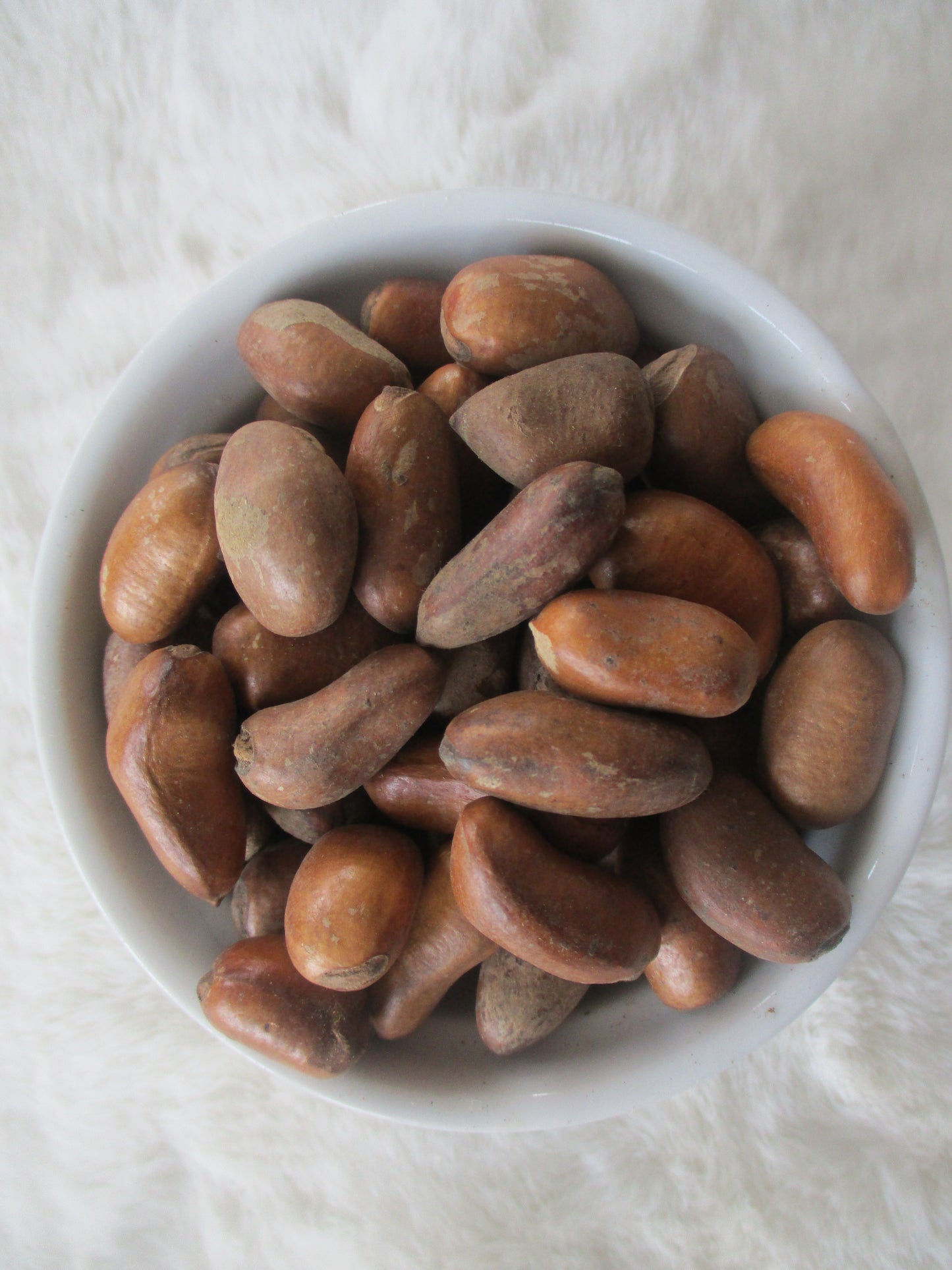 Pèbé powder spice/ African Nutmeg - Naturally Me